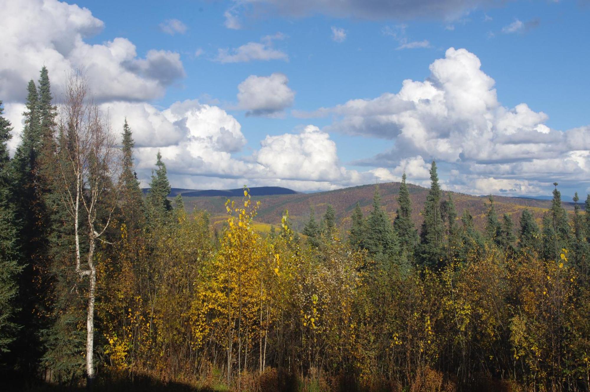 Aurora Viewing Deck And Peaceful Retreat Apartment Fairbanks Bagian luar foto